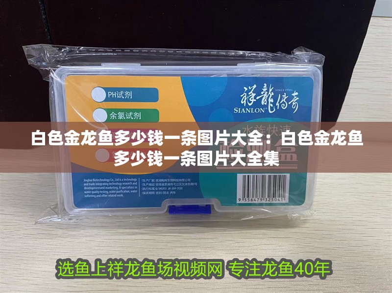 白色金龍魚多少錢一條圖片大全：白色金龍魚多少錢一條圖片大全集
