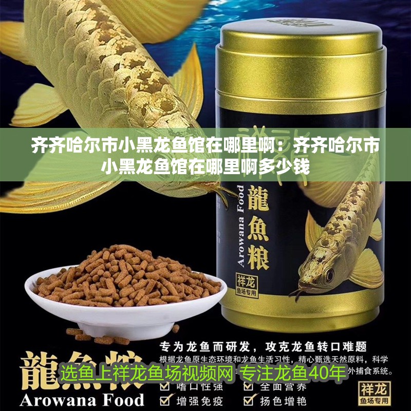 齊齊哈爾市小黑龍魚館在哪里啊：齊齊哈爾市小黑龍魚館在哪里啊多少錢