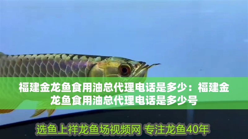 大魚缸怎么放水