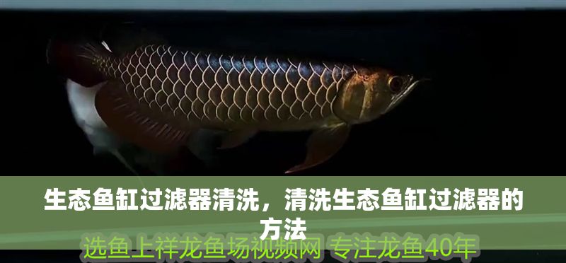 生態(tài)魚缸過濾器清洗，清洗生態(tài)魚缸過濾器的方法