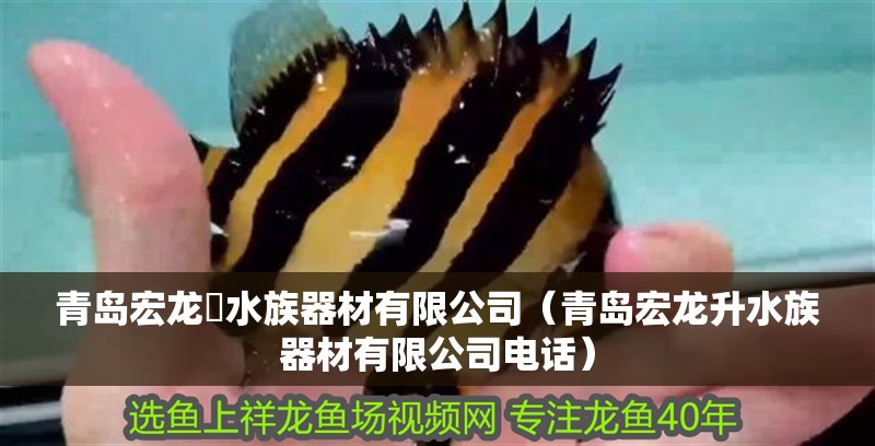 青島宏龍昇水族器材有限公司(青島宏龍升水族器材有限公司電話) 全國水族館企業名錄 第1張 青島宏龍昇水族器材有限公司(青島宏龍升水族器材有限公司電話) 青島宏龍昇水族器材有限公司(青島宏龍升水族器材有限公司電話) 全國水族館企業名錄 第1張