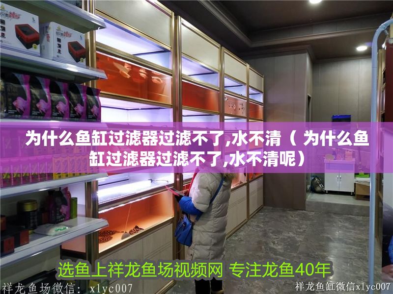 為什么魚缸過濾器過濾不了,水不清（ 為什么魚缸過濾器過濾不了,水不清呢） 為什么魚缸過濾器過濾不了,水不清（ 為什么魚缸過濾器過濾不了,水不清呢） 金龍魚百科 第1張