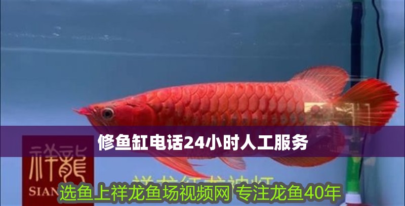 修魚缸電話24小時人工服務