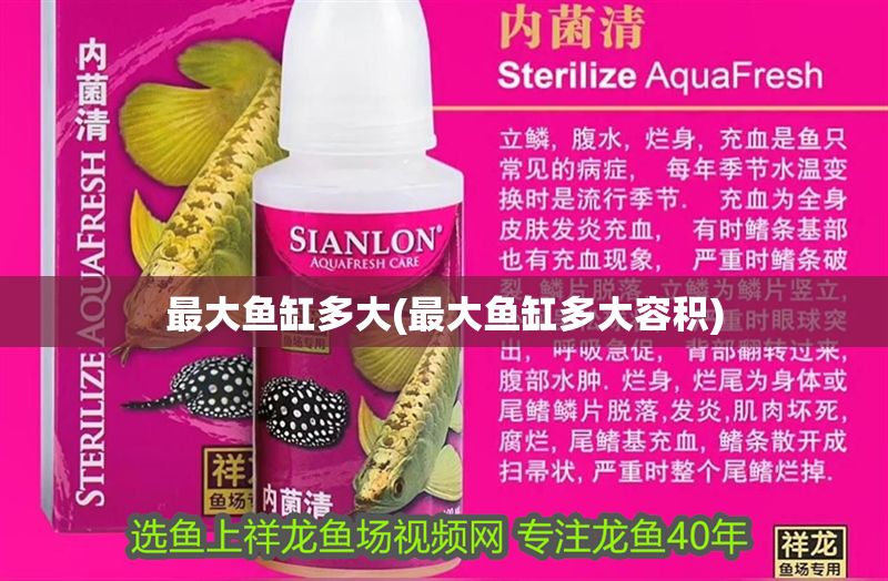 最大魚缸多大(最大魚缸多大容積) 黃金貓魚百科 第1張 最大魚缸多大(最大魚缸多大容積) 最大魚缸多大(最大魚缸多大容積) 黃金貓魚百科 第1張