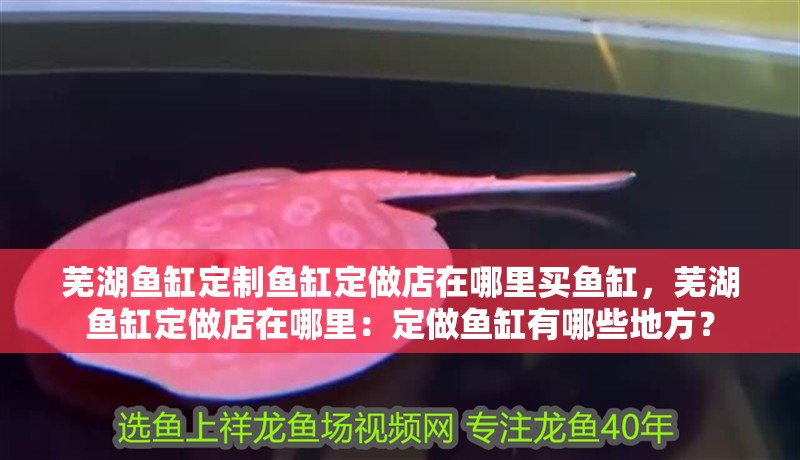蕪湖魚缸定制魚缸定做店在哪里買魚缸，蕪湖魚缸定做店在哪里：定做魚缸有哪些地方？