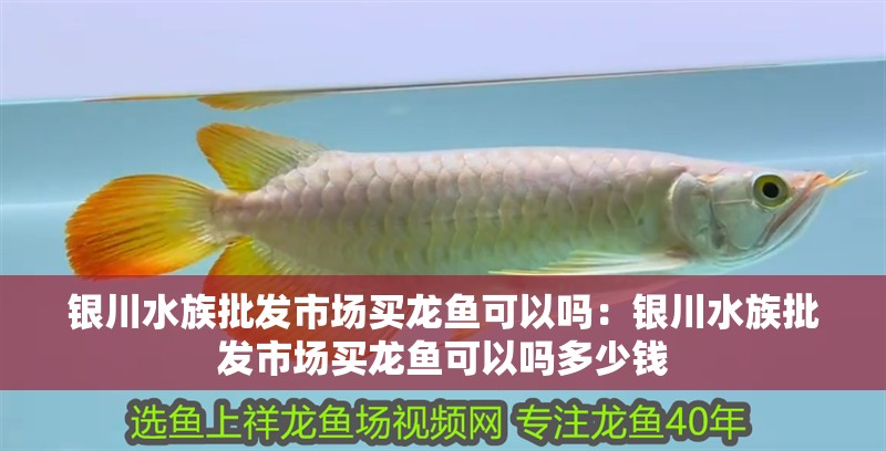 水綠了怎么辦換了2天水了沒見好轉(zhuǎn)求指點(diǎn)