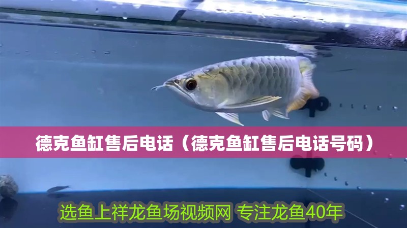 德克魚缸售后電話（德克魚缸售后電話號碼）