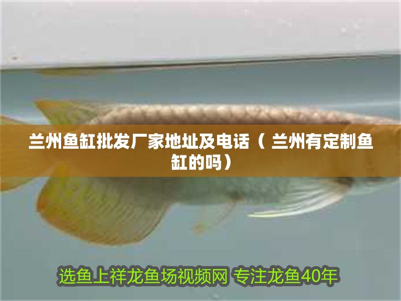 蘭州魚缸批發(fā)廠家地址及電話（ 蘭州有定制魚缸的嗎）