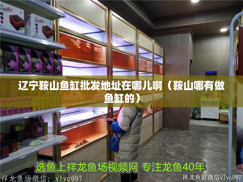 遼寧鞍山魚缸批發(fā)地址在哪兒啊（鞍山哪有做魚缸的）