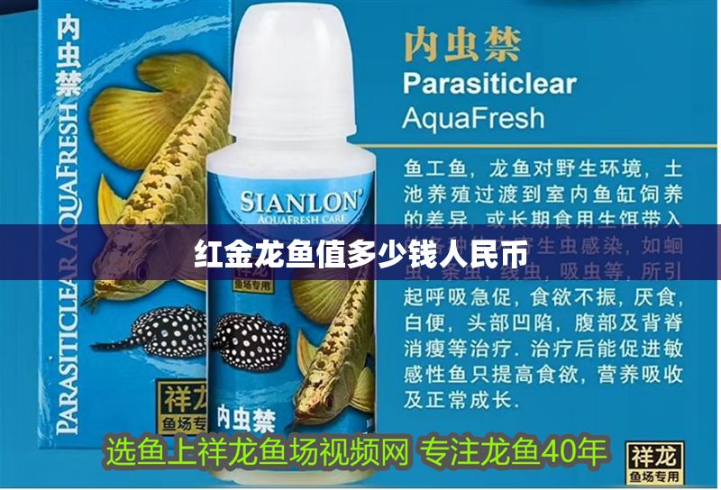 紅金龍魚值多少錢人民幣