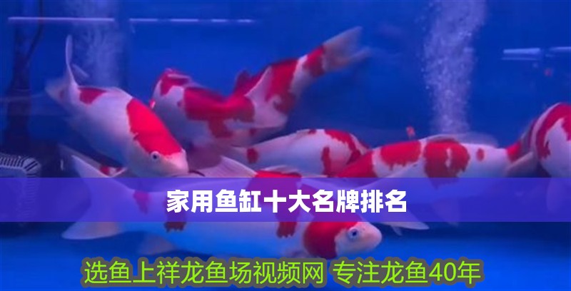 家用魚缸十大名牌排名 龍魚百科 第1張 家用魚缸十大名牌排名 家用魚缸十大名牌排名 龍魚百科 第1張