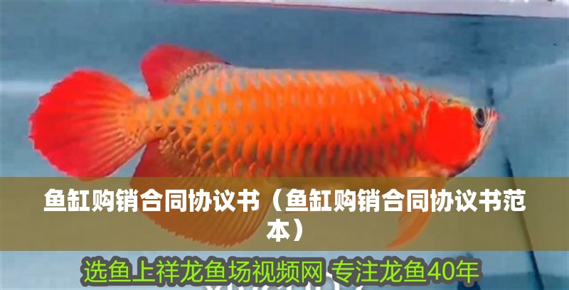 魚缸購銷合同協議書（魚缸購銷合同協議書范本）