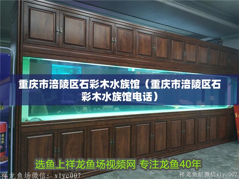 重慶市涪陵區石彩木水族館(重慶市涪陵區石彩木水族館電話) 全國水族館企業名錄 第1張 重慶市涪陵區石彩木水族館(重慶市涪陵區石彩木水族館電話) 重慶市涪陵區石彩木水族館(重慶市涪陵區石彩木水族館電話) 全國水族館企業名錄 第1張