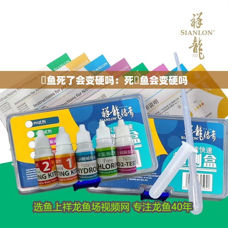 魟魚死了會變硬嗎：死魟魚會變硬嗎