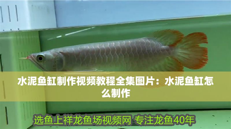 水泥魚缸制作視頻教程全集圖片：水泥魚缸怎么制作