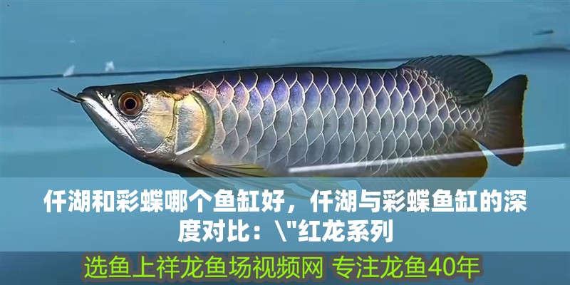 仟湖和彩蝶哪個魚缸好，仟湖與彩蝶魚缸的深度對比：\