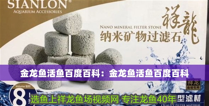 金龍魚活魚百度百科：金龍魚活魚百度百科