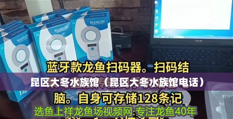 昆區(qū)大冬水族館（昆區(qū)大冬水族館電話）