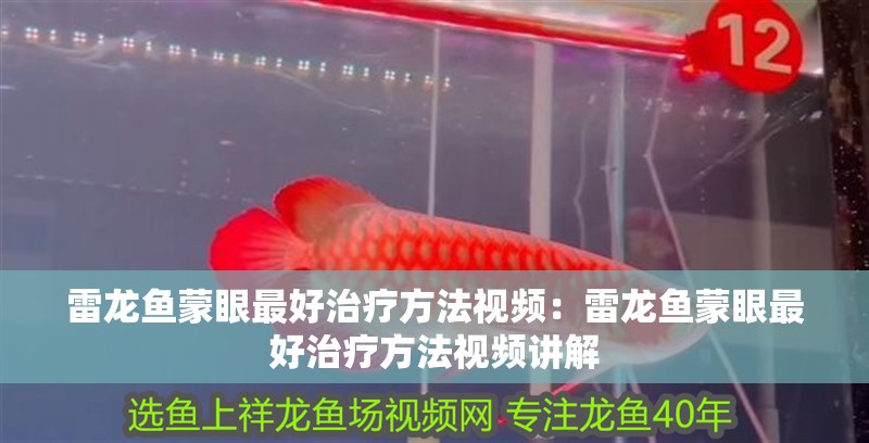 雷龍魚蒙眼最好治療方法視頻：雷龍魚蒙眼最好治療方法視頻講解