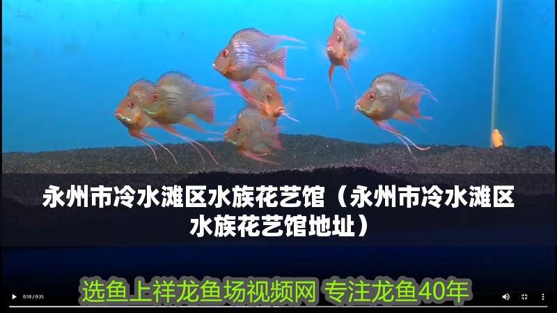 永州市冷水灘區水族花藝館（永州市冷水灘區水族花藝館地址）