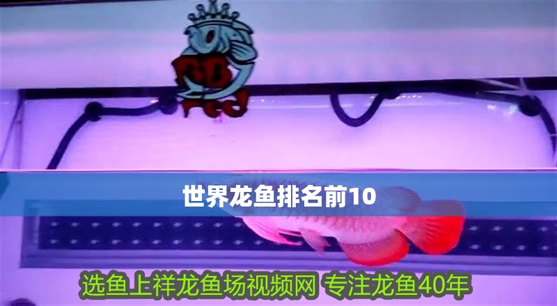 世界龍魚排名前10