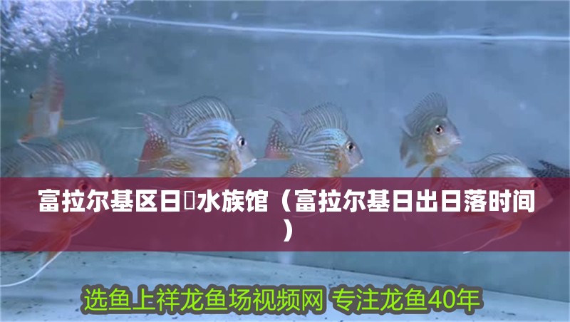 富拉爾基區(qū)日昇水族館（富拉爾基日出日落時(shí)間）