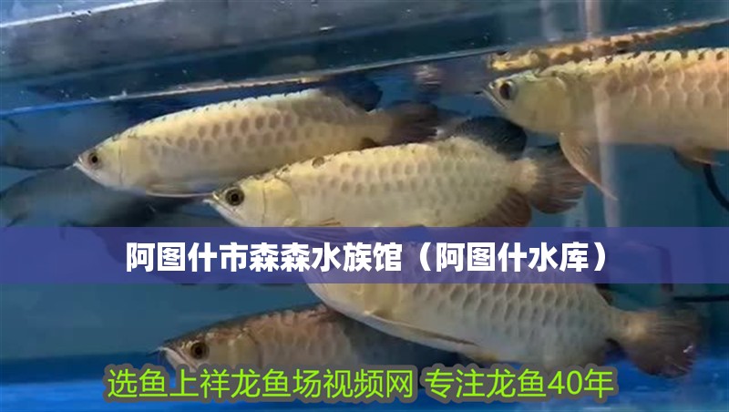 阿圖什市森森水族館（阿圖什水庫(kù)）