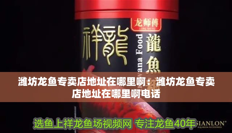 濰坊龍魚專賣店地址在哪里啊：濰坊龍魚專賣店地址在哪里啊電話