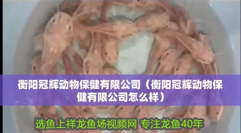 衡陽冠輝動物保健有限公司（衡陽冠輝動物保健有限公司怎么樣）