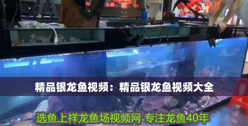 精品銀龍魚視頻：精品銀龍魚視頻大全