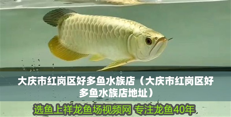 大慶市紅崗區(qū)好多魚(yú)水族店（大慶市紅崗區(qū)好多魚(yú)水族店地址）