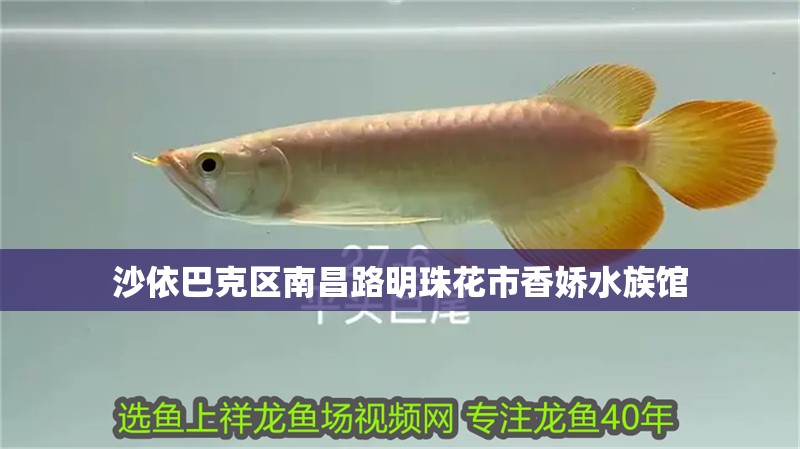 沙依巴克區南昌路明珠花市香嬌水族館