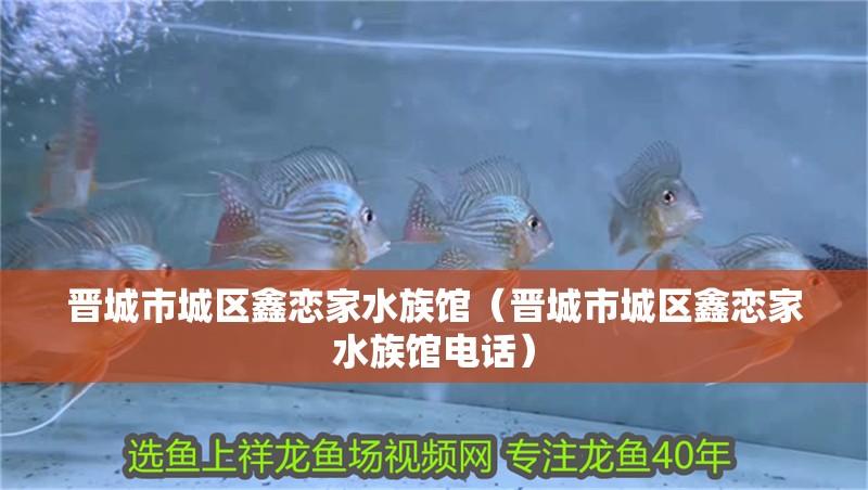 晉城市城區鑫戀家水族館（晉城市城區鑫戀家水族館電話）