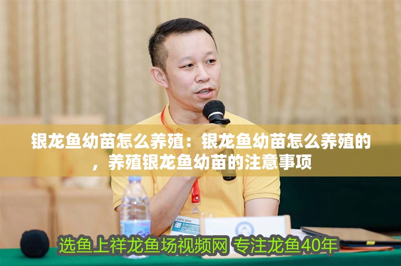 銀龍魚幼苗怎么養殖：銀龍魚幼苗怎么養殖的，養殖銀龍魚幼苗的注意事項