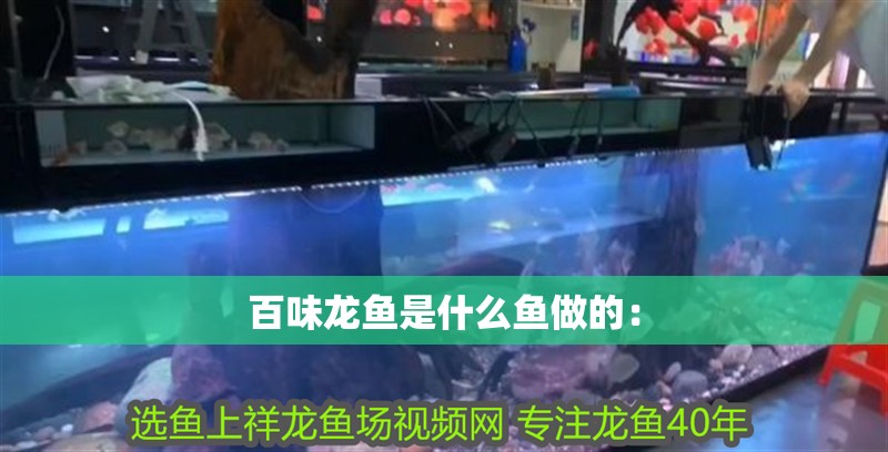 百味龍魚是什么魚做的：