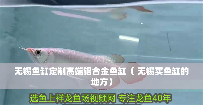 無錫魚缸定制高端鋁合金魚缸（ 無錫買魚缸的地方）