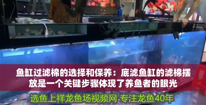 魚缸過濾棉的選擇和保養：底濾魚缸的濾棉擺放是一個關鍵步驟體現了養魚者的眼光
