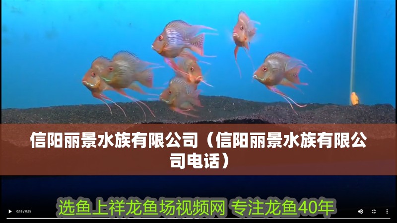 信陽麗景水族有限公司（信陽麗景水族有限公司電話） 信陽麗景水族有限公司（信陽麗景水族有限公司電話） 全國水族館企業名錄 第1張