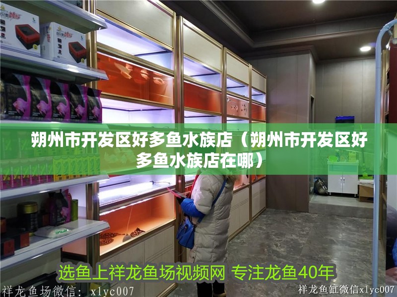 朔州市開發(fā)區(qū)好多魚水族店（朔州市開發(fā)區(qū)好多魚水族店在哪）
