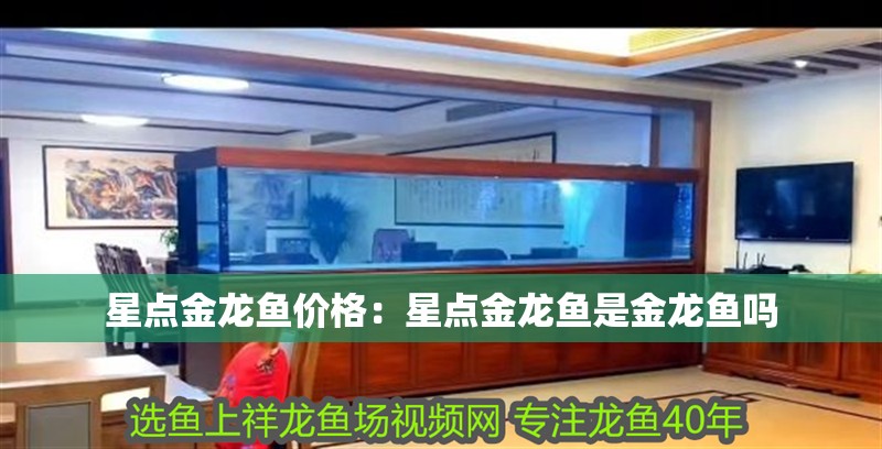 星點金龍魚價格：星點金龍魚是金龍魚嗎 星點金龍魚價格：星點金龍魚是金龍魚嗎 水族問答
