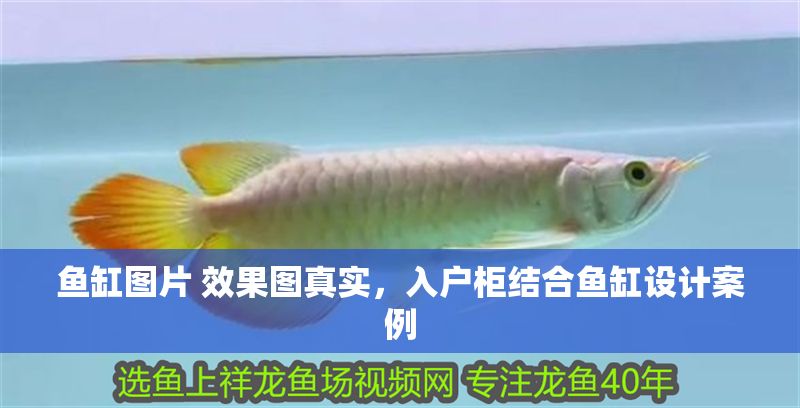 魚缸圖片 效果圖真實，入戶柜結(jié)合魚缸設(shè)計案例