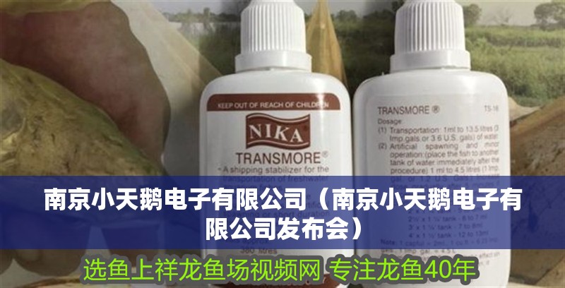 南京小天鵝電子有限公司（南京小天鵝電子有限公司發(fā)布會）