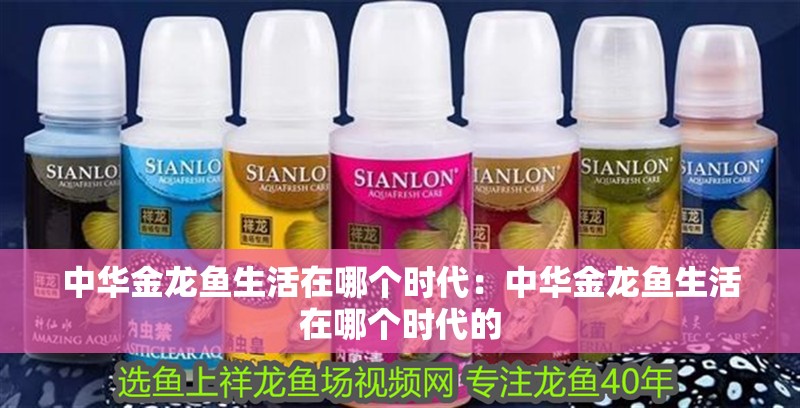 中華金龍魚生活在哪個時代：中華金龍魚生活在哪個時代的