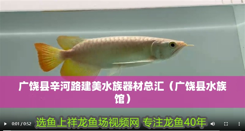 廣饒縣辛河路建美水族器材總匯（廣饒縣水族館）