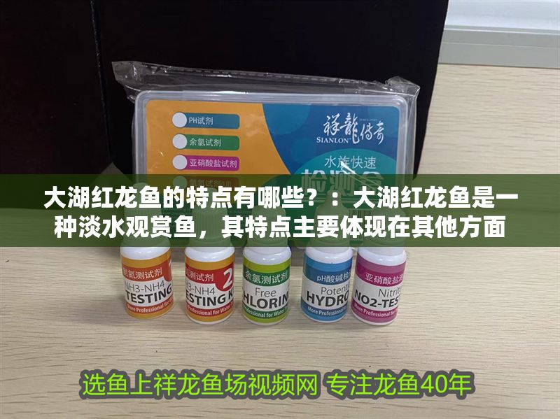 大湖紅龍魚的特點有哪些？：大湖紅龍魚是一種淡水觀賞魚，其特點主要體現(xiàn)在其他方面