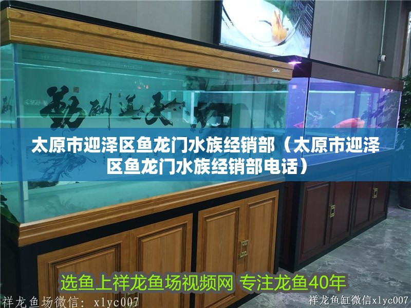 太原市迎澤區魚龍門水族經銷部（太原市迎澤區魚龍門水族經銷部電話）