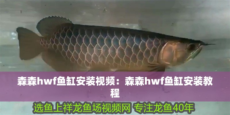 森森hwf魚缸安裝視頻：森森hwf魚缸安裝教程