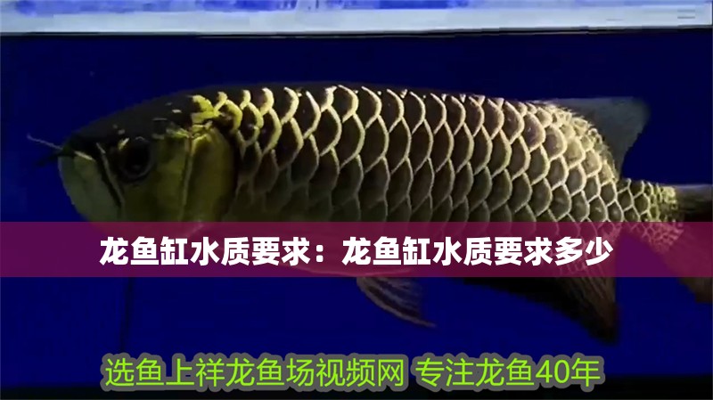 龍魚缸水質(zhì)要求：龍魚缸水質(zhì)要求多少