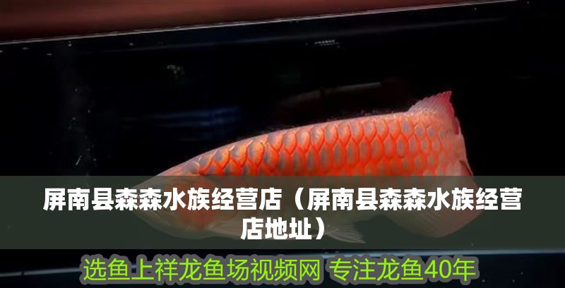 屏南縣森森水族經營店（屏南縣森森水族經營店地址）