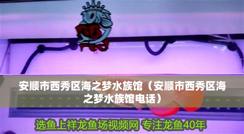 安順市西秀區海之夢水族館（安順市西秀區海之夢水族館電話）
